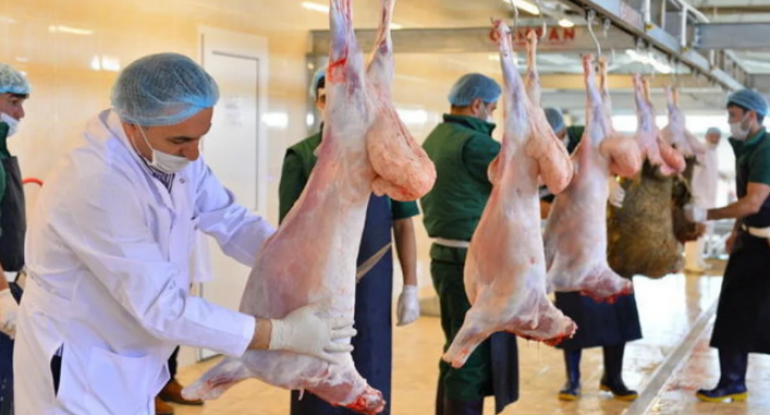 Qurban bayramı ilə bağlı hazırlıq işləri yekunlaşıb